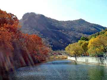 新澳门二四六天天彩，夜半铃声